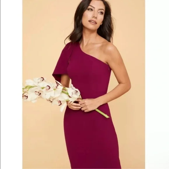 DRESS THE POPULATION Tiffany One-Shoulder Maroon Dark Magenta Dress Size S NWT - Picture 6 of 11